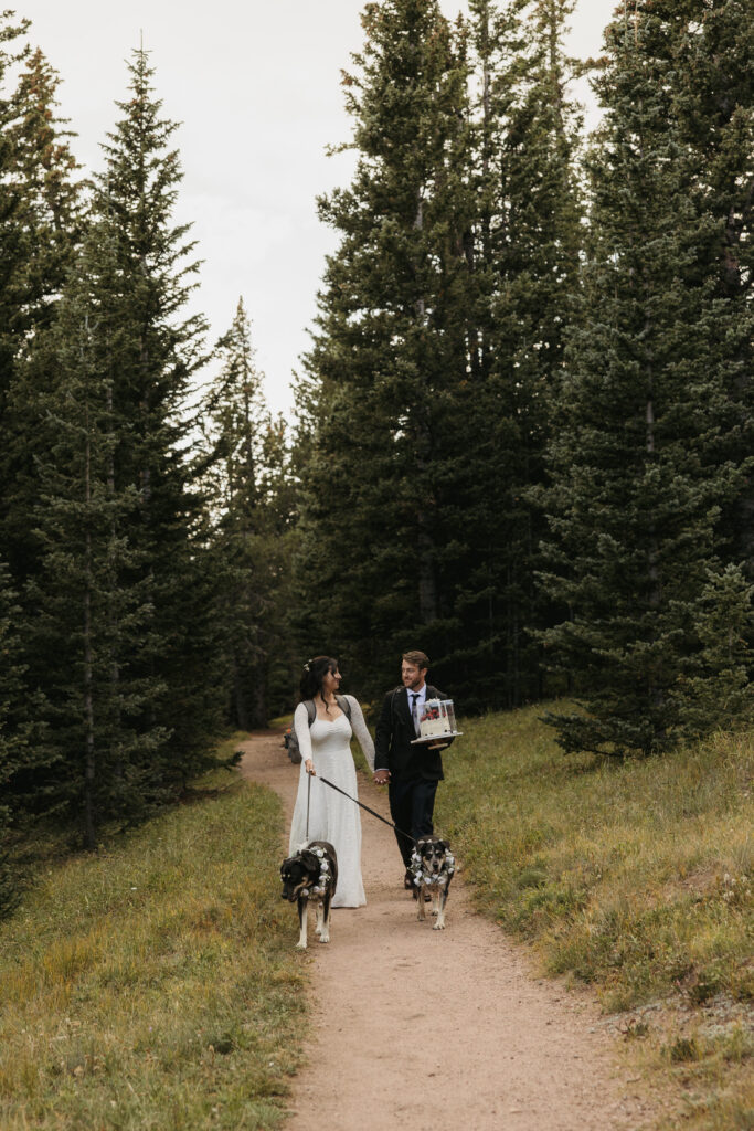 Couple hikes through pine trees with their dogs.