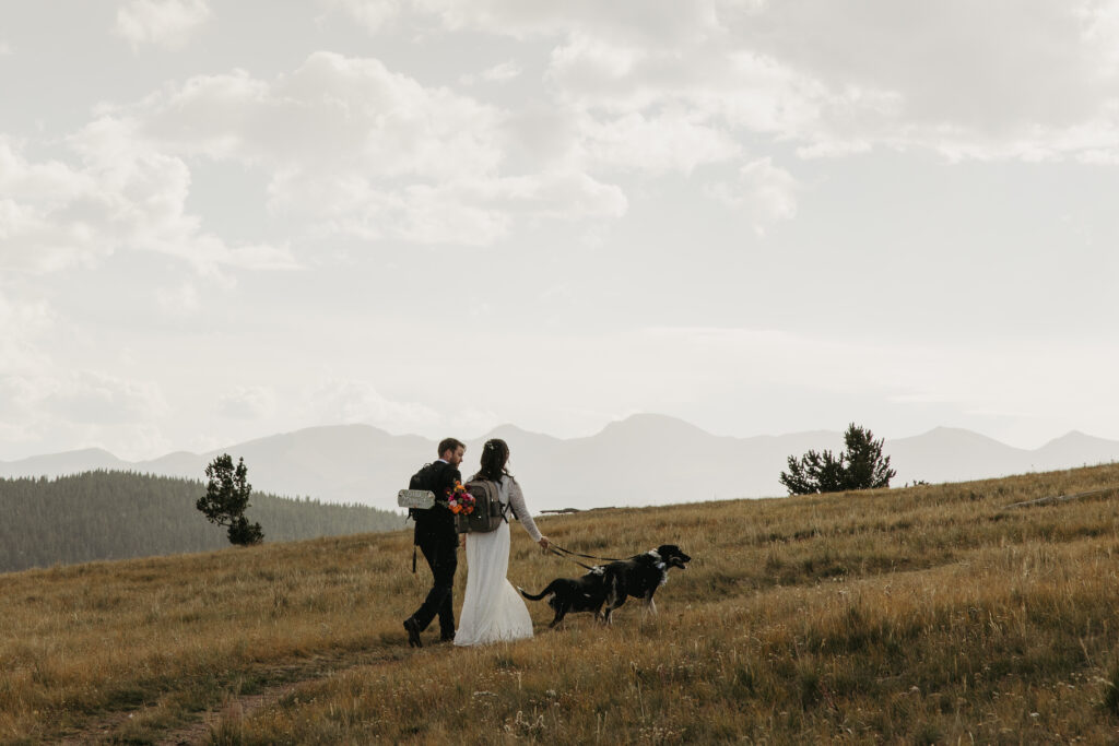 Couple hikes in their wedding attire with their dogs.