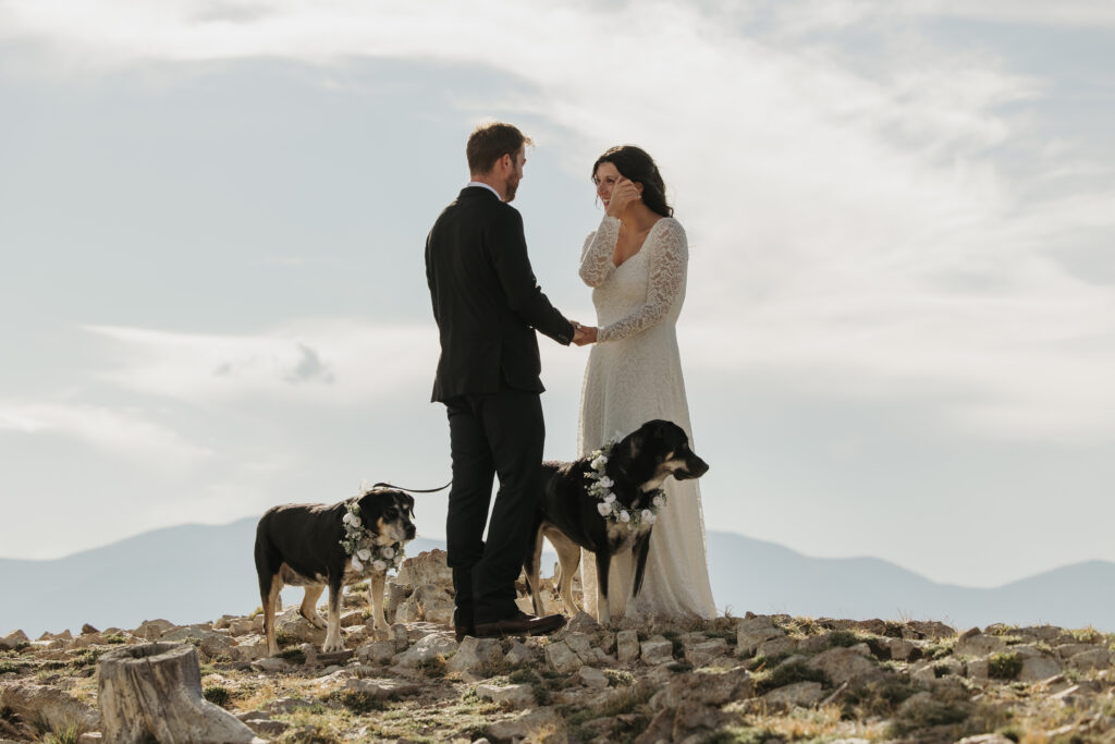 An eloping couple reads their vows above the mountains in the clouds with dogs beside them.