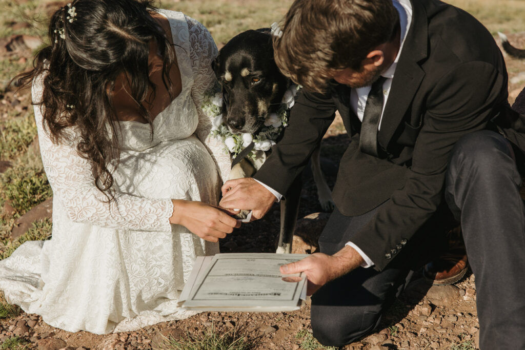 A dog puts her pawprint on a marriage license in Colorado with her two humans helping her.
