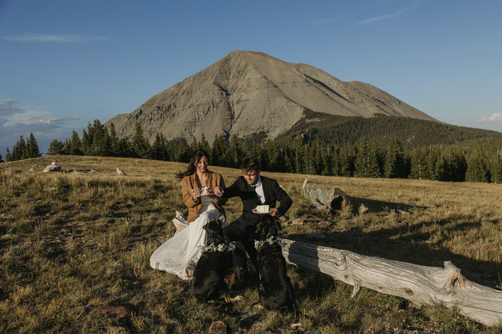 A couple enjoys their wedding cake with their dogs while sitting on a log in front of West Spanish Peak.